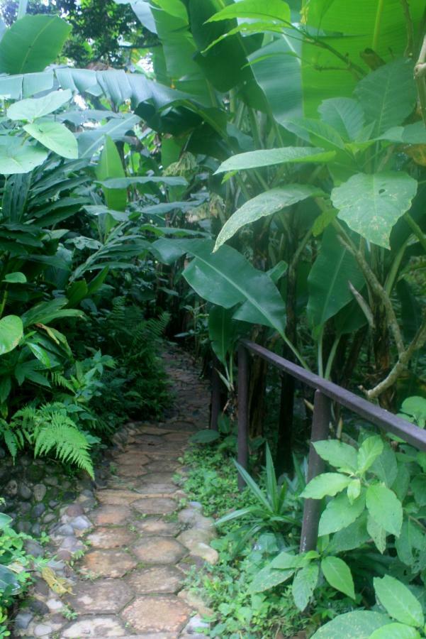The Casita At The Boquete Hacienda Apartment Екстериор снимка